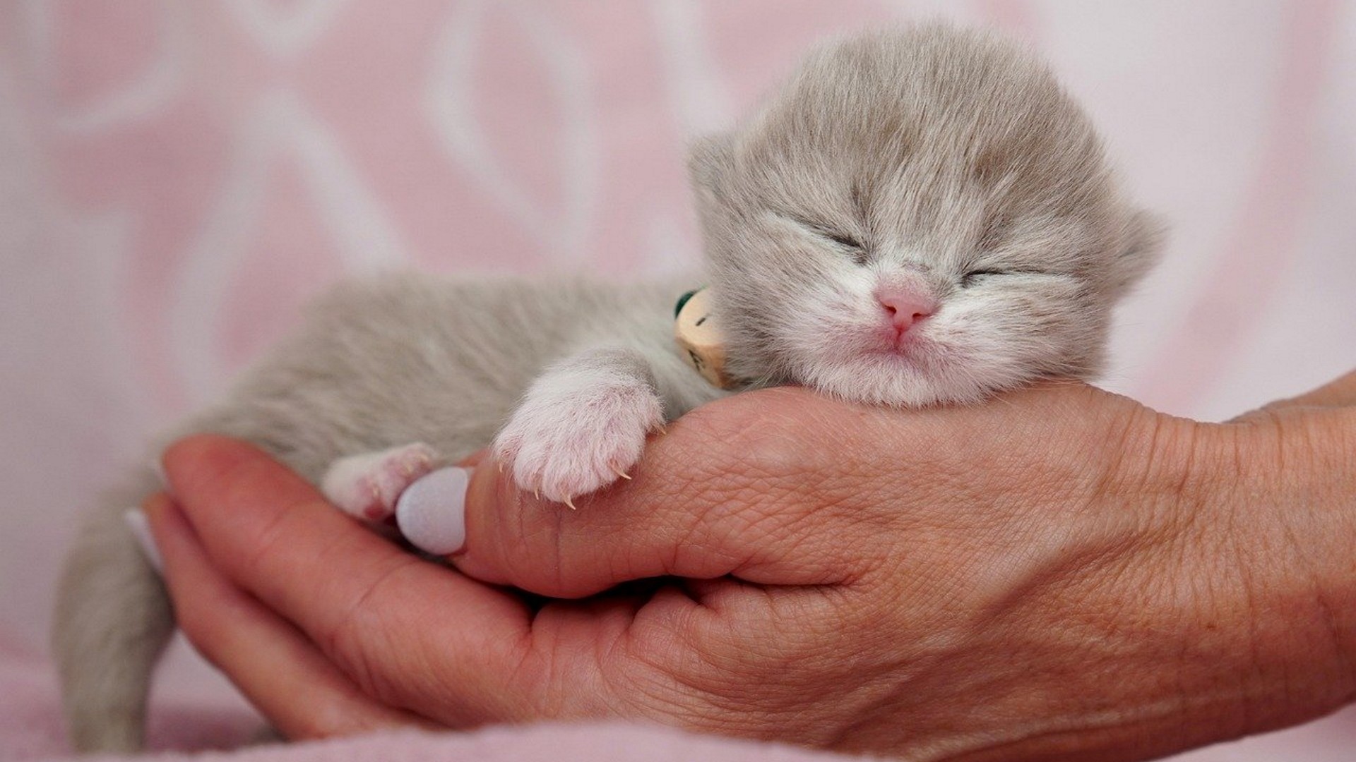 Questo è davvero appena nato...