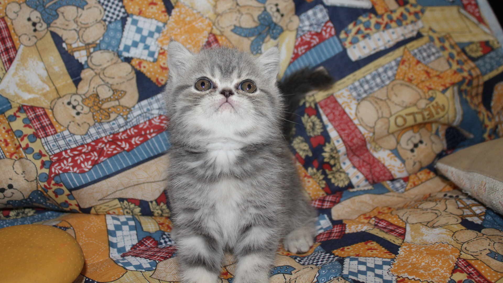 Chissà cosa sta aspettando? Il latte?