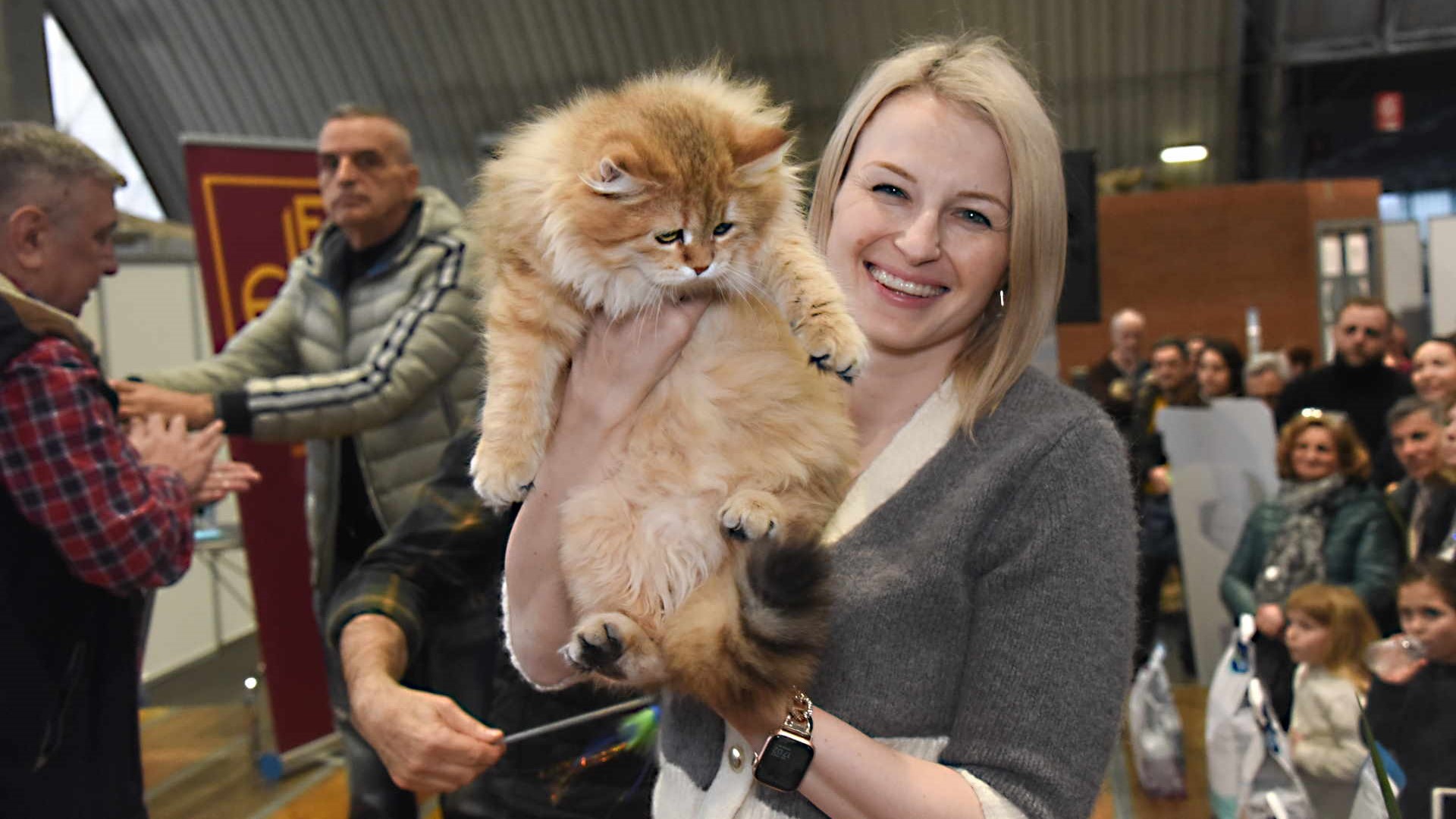 Il maschio raggiunge facilmente i 6-8 kg di peso. La femmina è leggermente più piccola