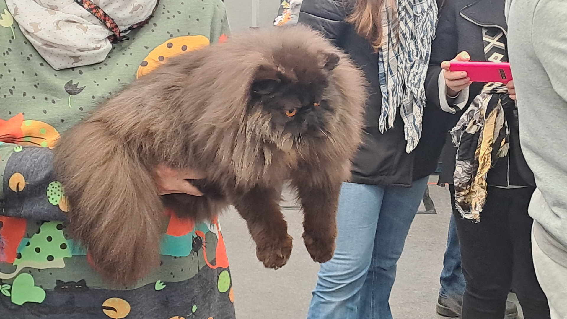 Può arrivare a dormire anche 16 ore al giorno