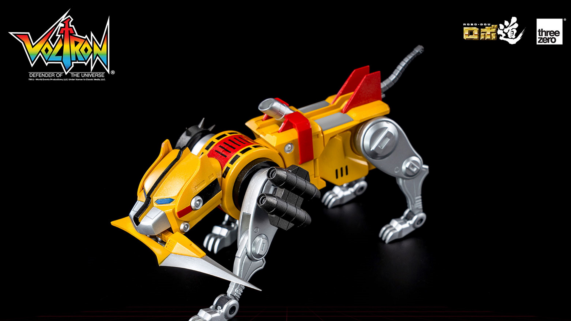 Leone giallo, gamba sinistra