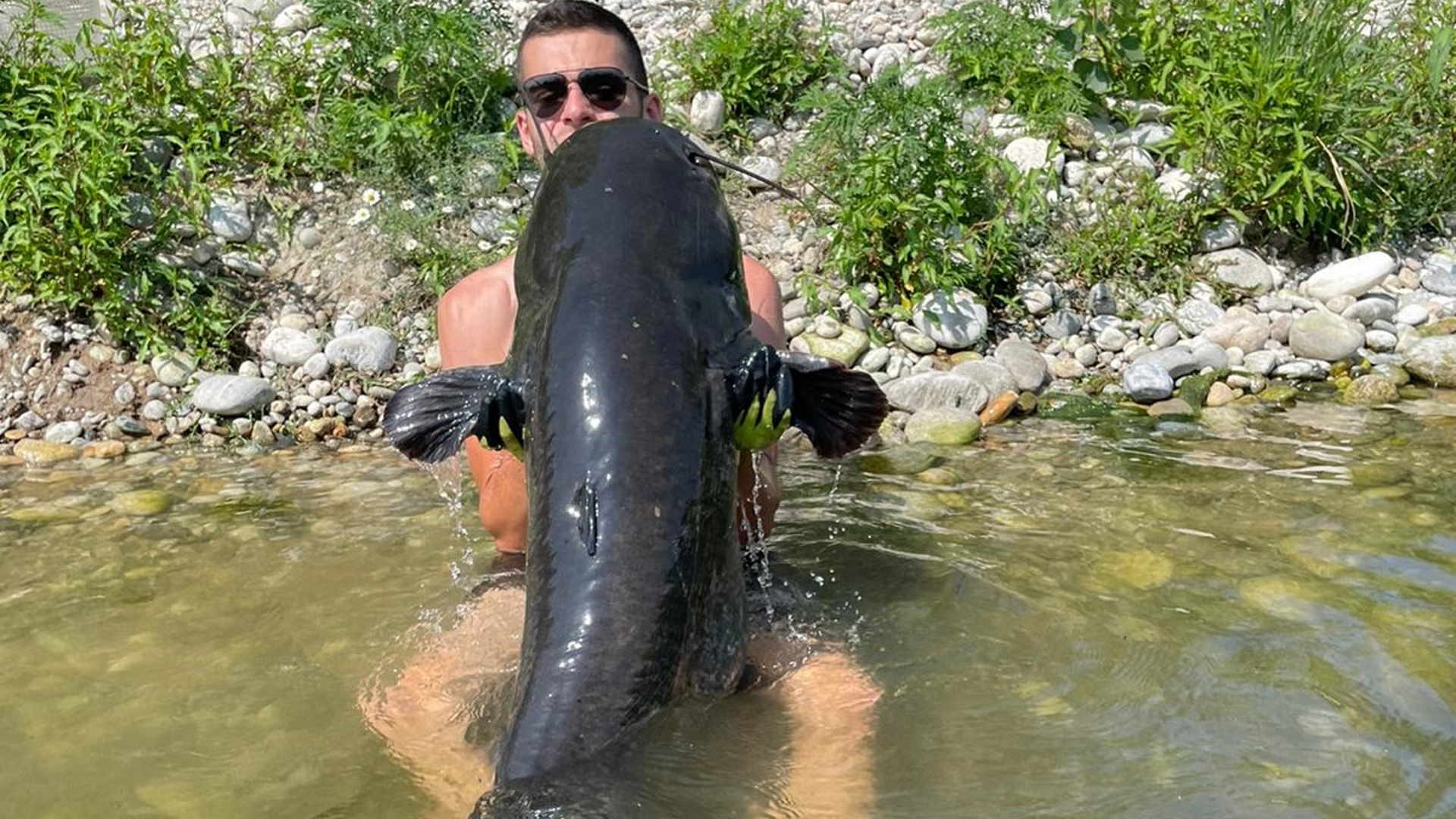 Si dice che possa inghiottire una persona. Sono solo fake news