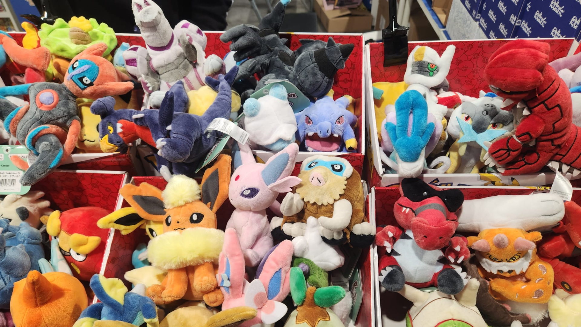 Tutti i Pokémon possibili in formato peluche